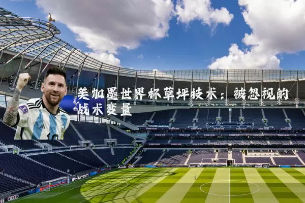 美加墨世界杯草坪技术：被忽视的战术变量